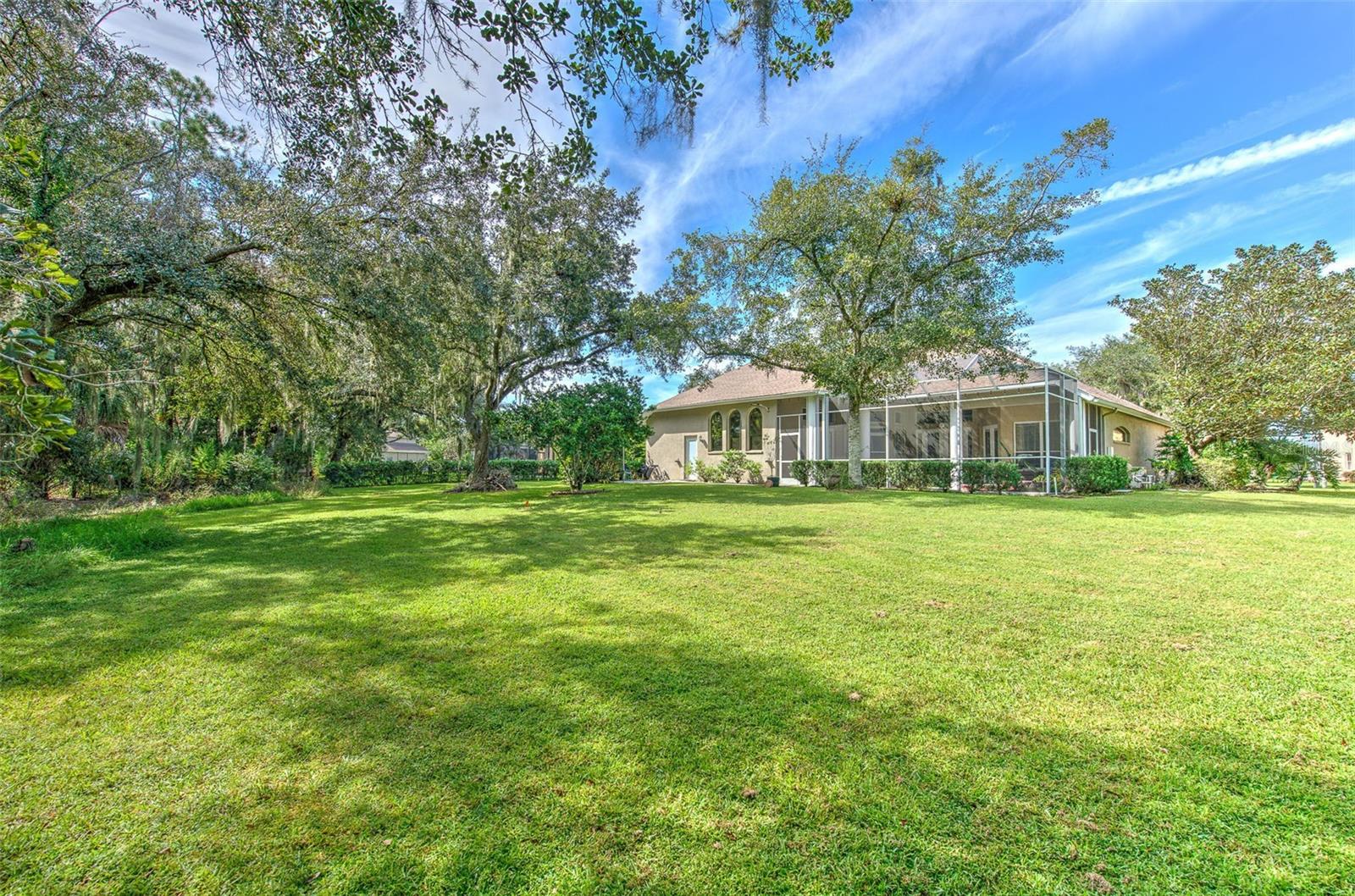 3325 Cypress Landing Dr Property Photo 79