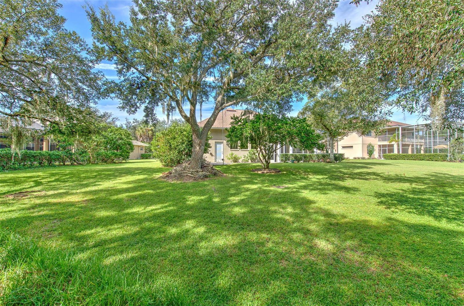 3325 Cypress Landing Dr Property Photo 80