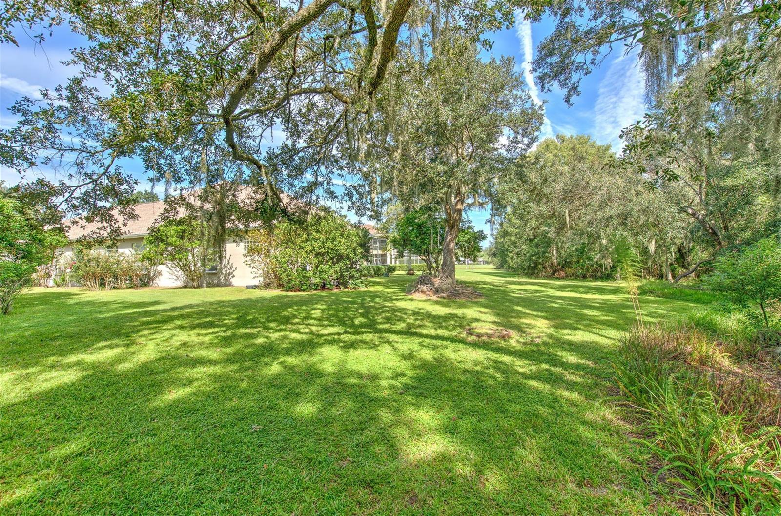 3325 Cypress Landing Dr Property Photo 81