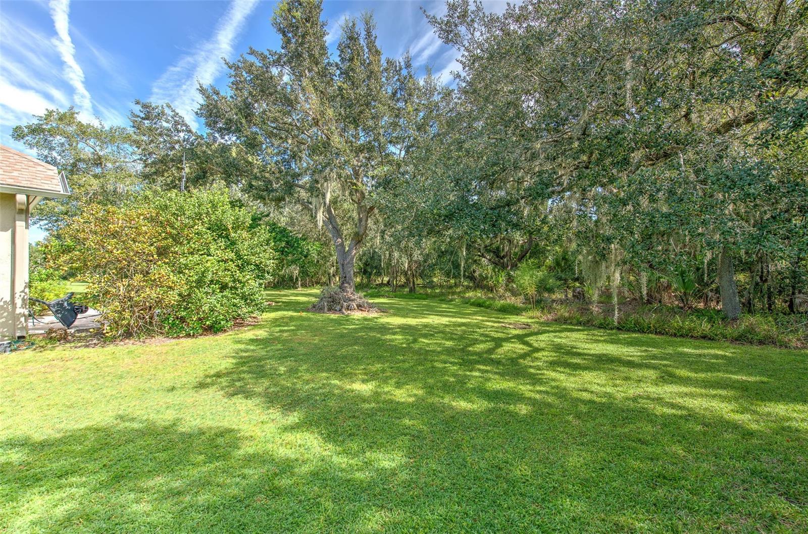 3325 Cypress Landing Dr Property Photo 82