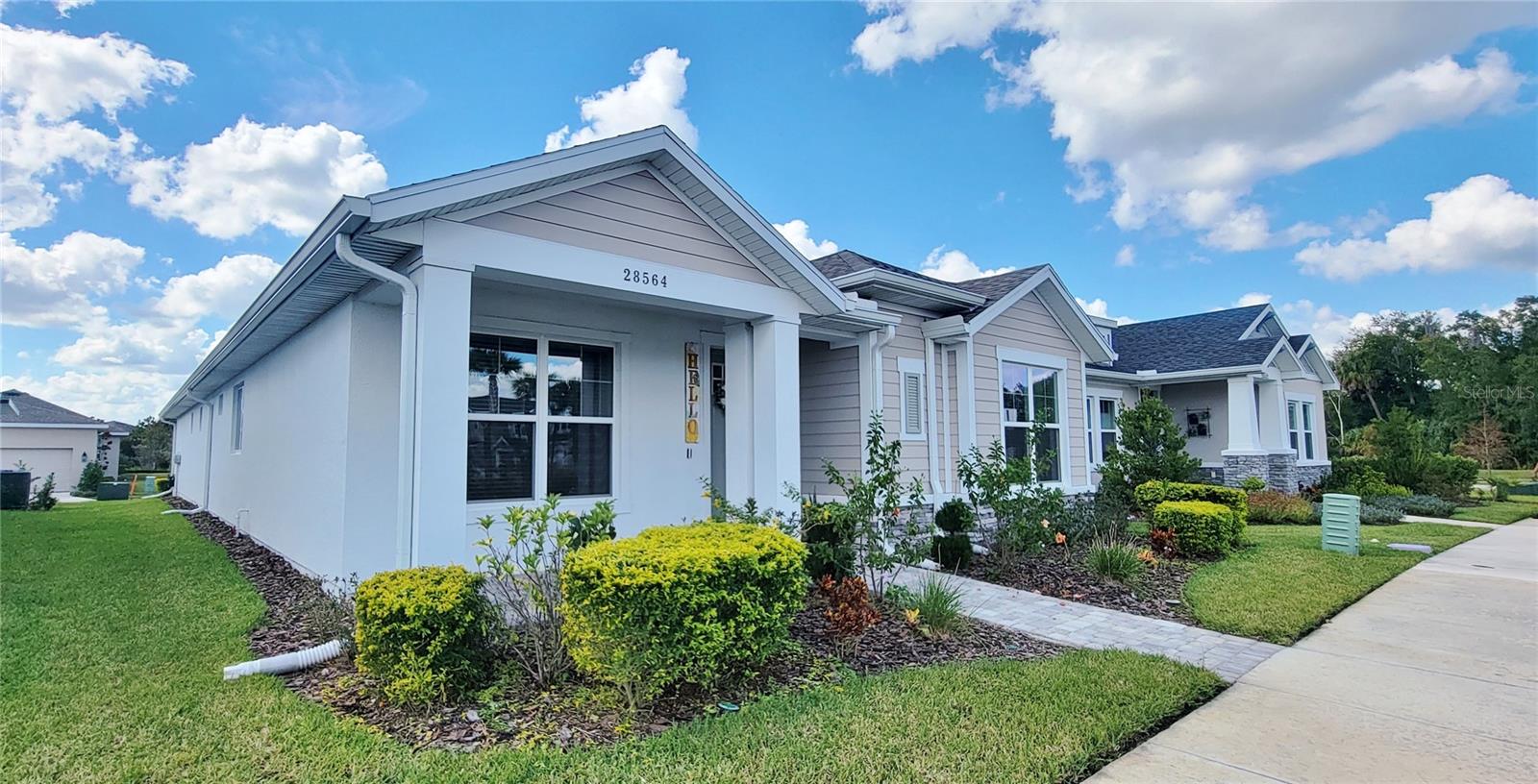 28564 Sweet Persimmon Dr Property Photo 3