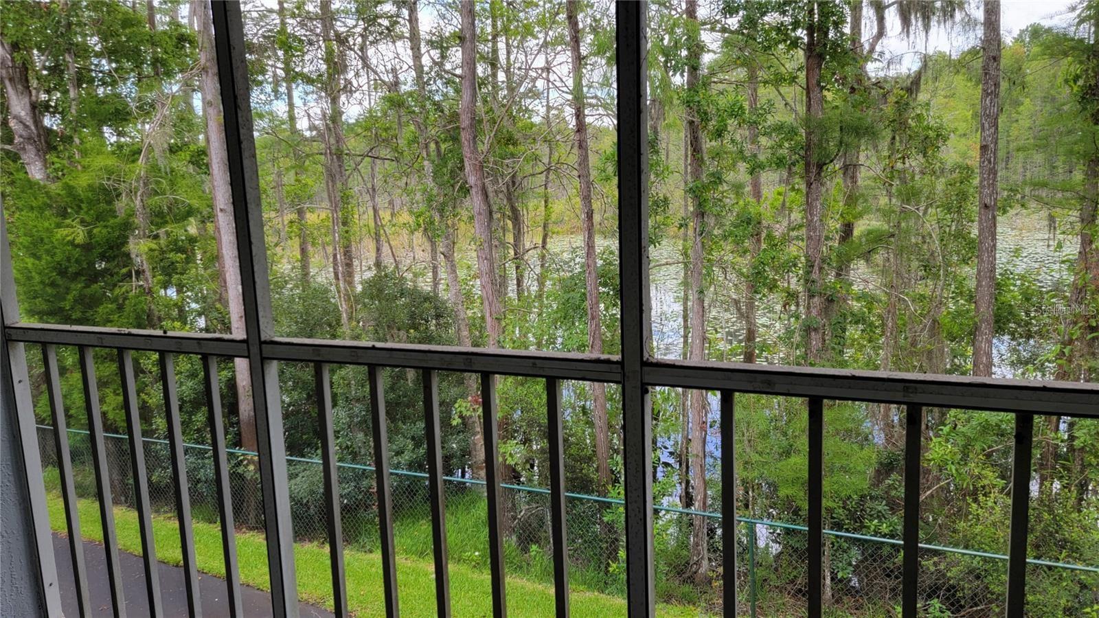 12135 Fox Chase Dr #h2 Property Photo 18