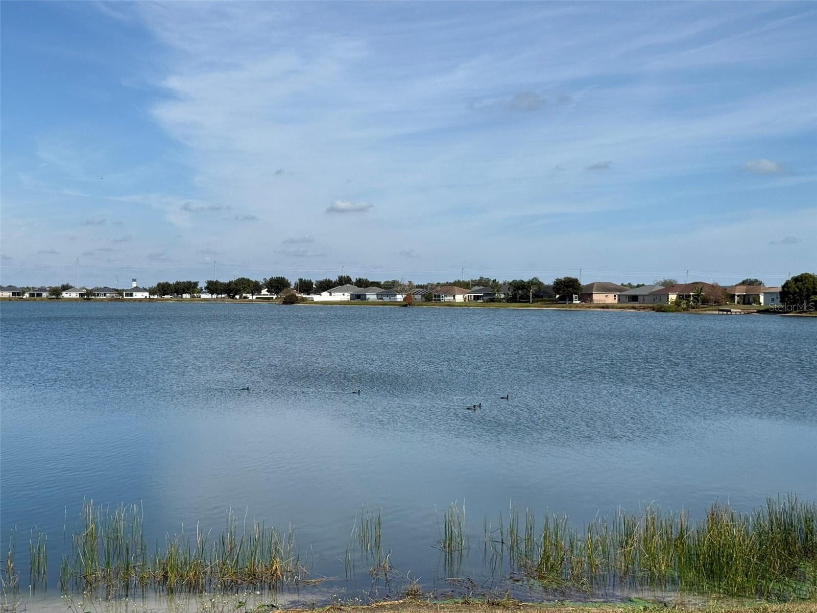 5303 White Egret Ln Property Photo 4
