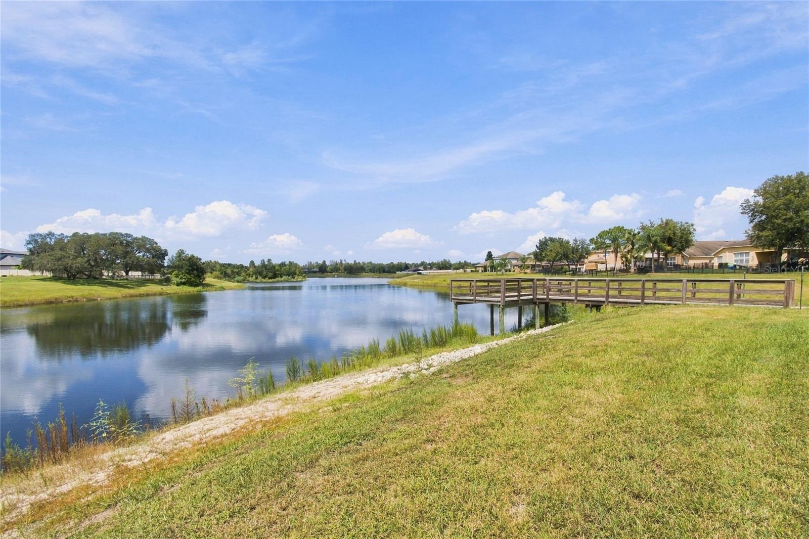 13856 Crest Lake Dr Property Photo 62