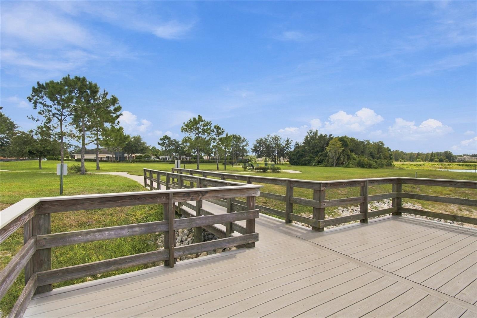 13856 Crest Lake Dr Property Photo 65