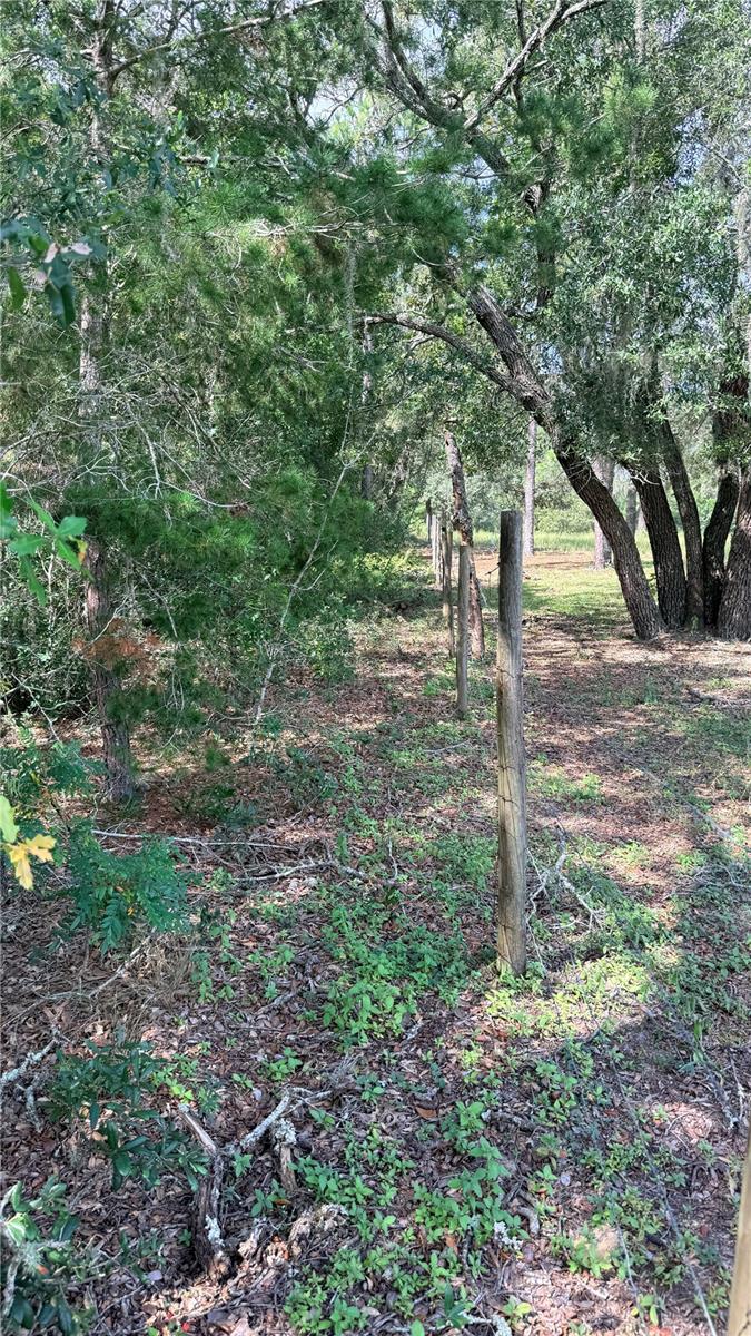 Bowman Rd Property Photo 3