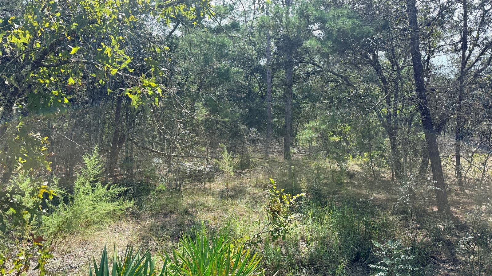 Bowman Rd Property Photo 4