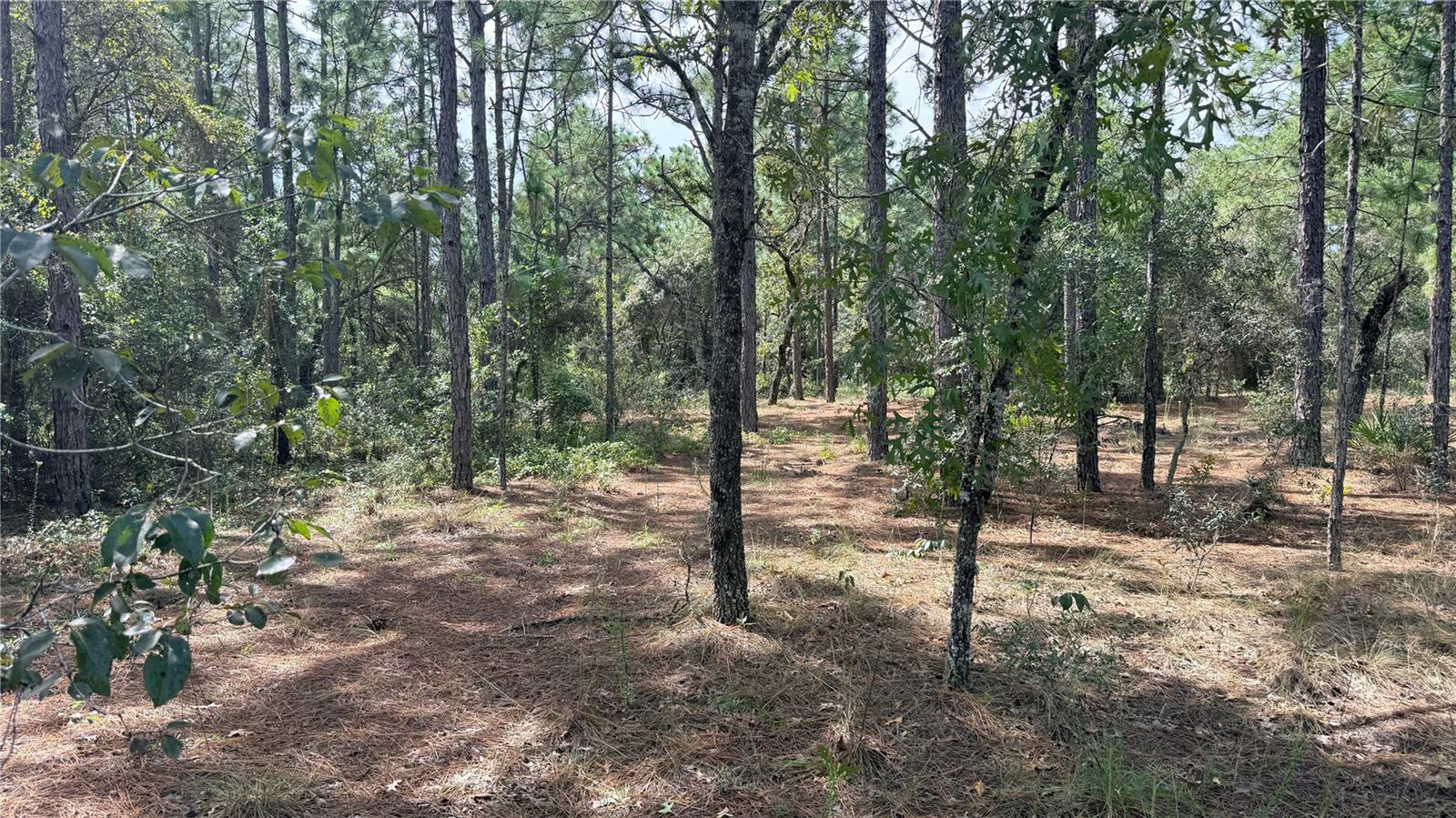 Bowman Rd Property Photo 5