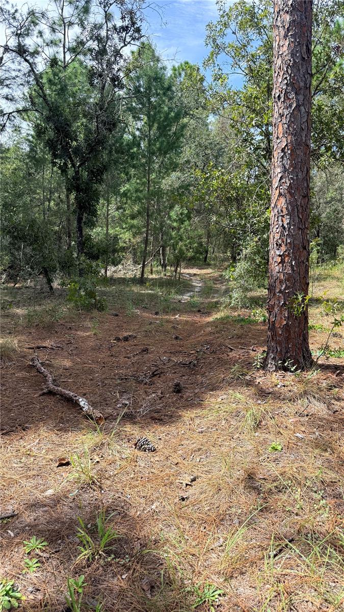 Bowman Rd Property Photo 6