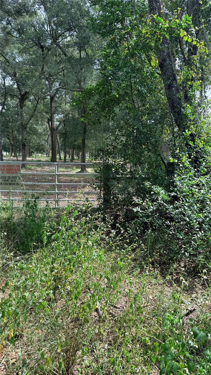Bowman Rd Property Photo 7