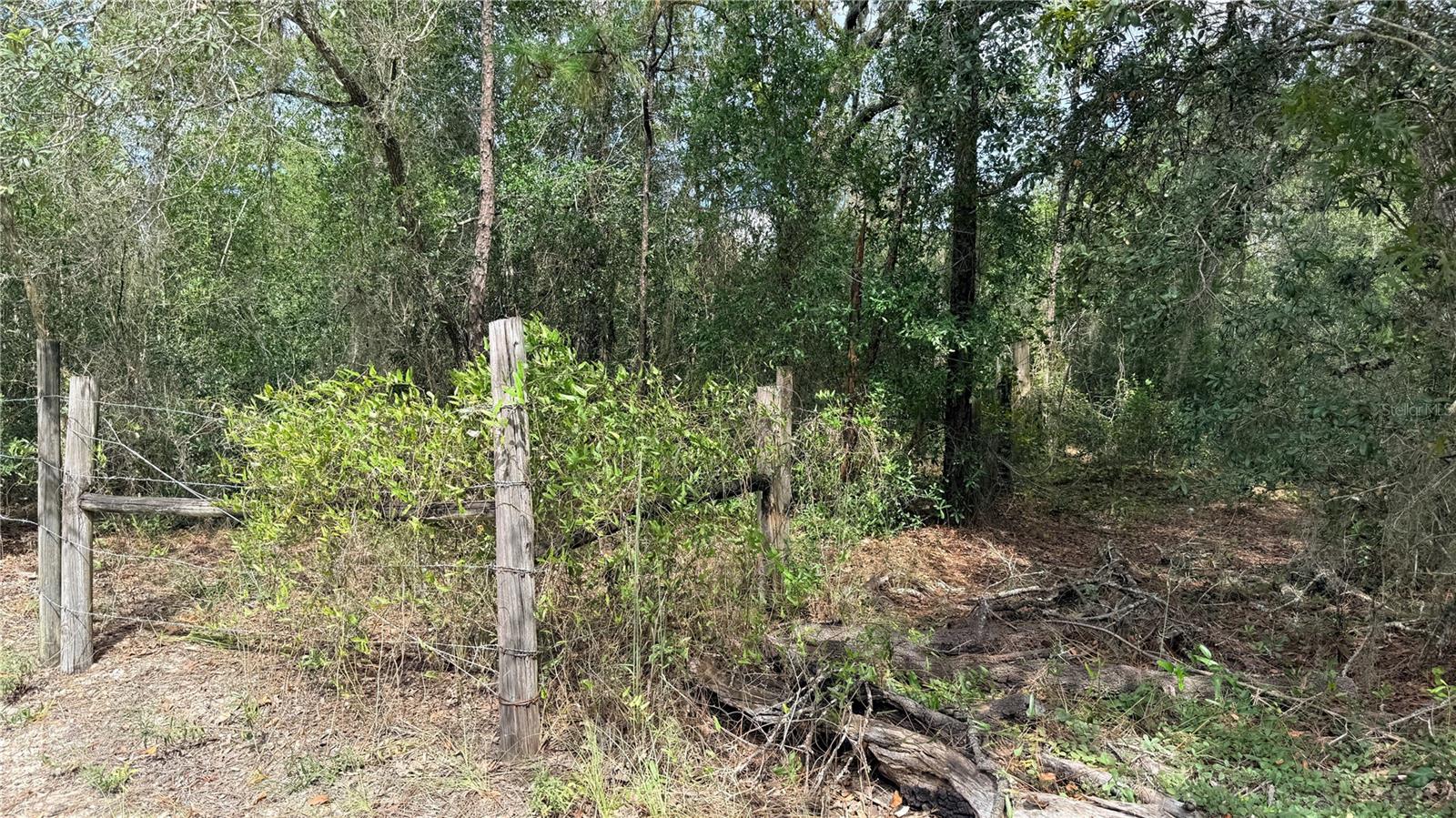 Bowman Rd Property Photo 9