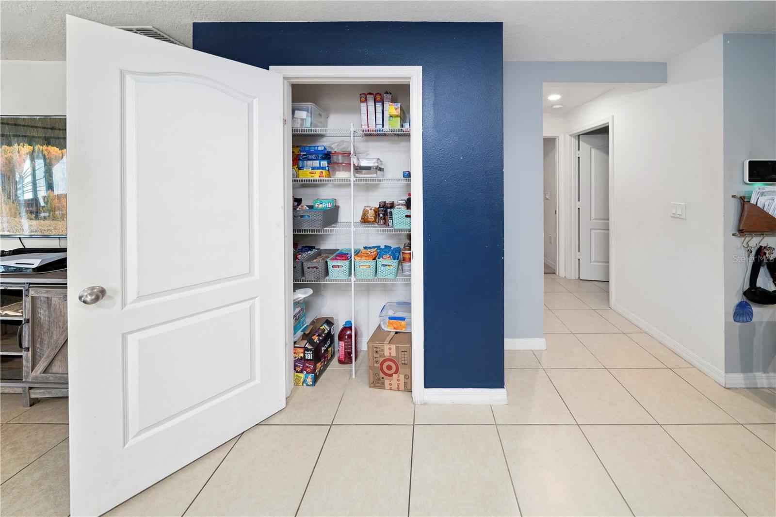 1007 Culbreath Green Ct Property Photo 14