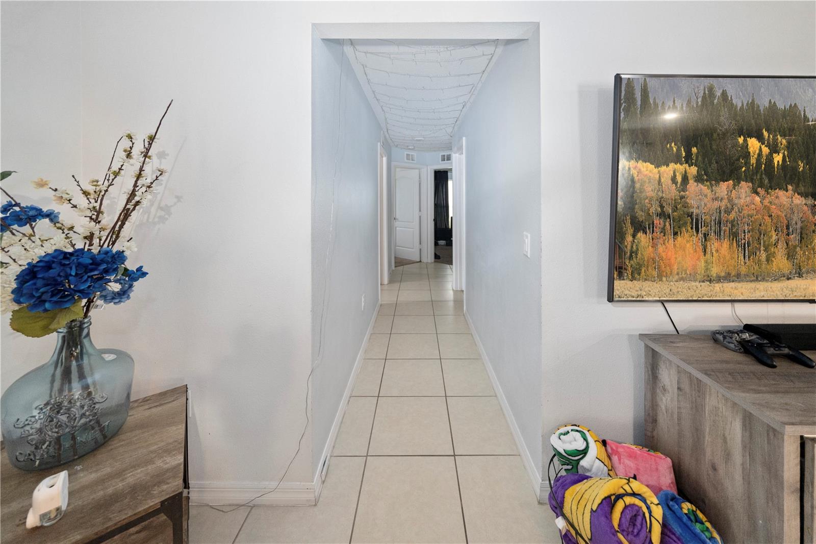 1007 Culbreath Green Ct Property Photo 15