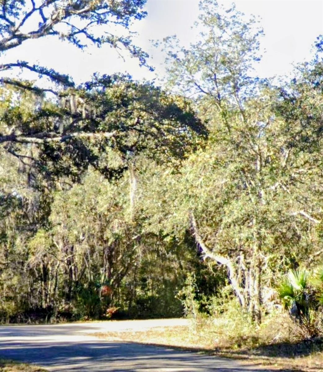 Lot 15 Fisher Ln Way Property Photo 4