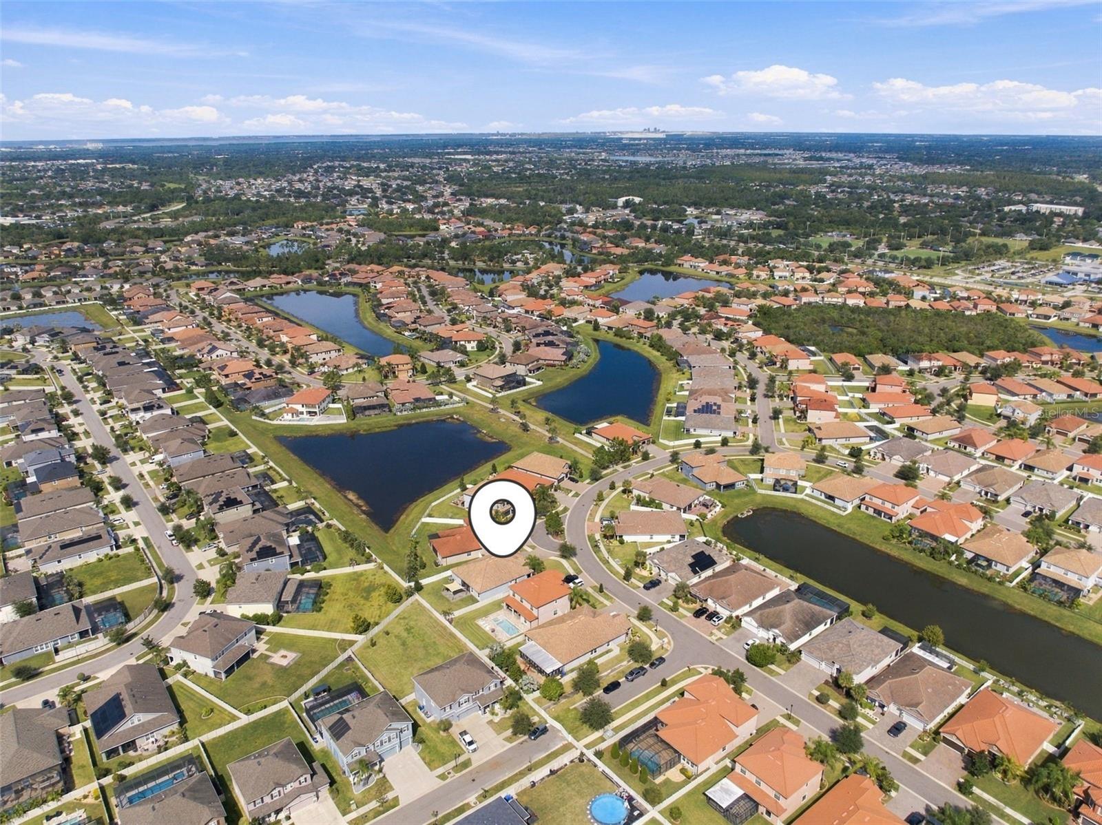 11967 Cinnamon Fern Dr Property Photo 64