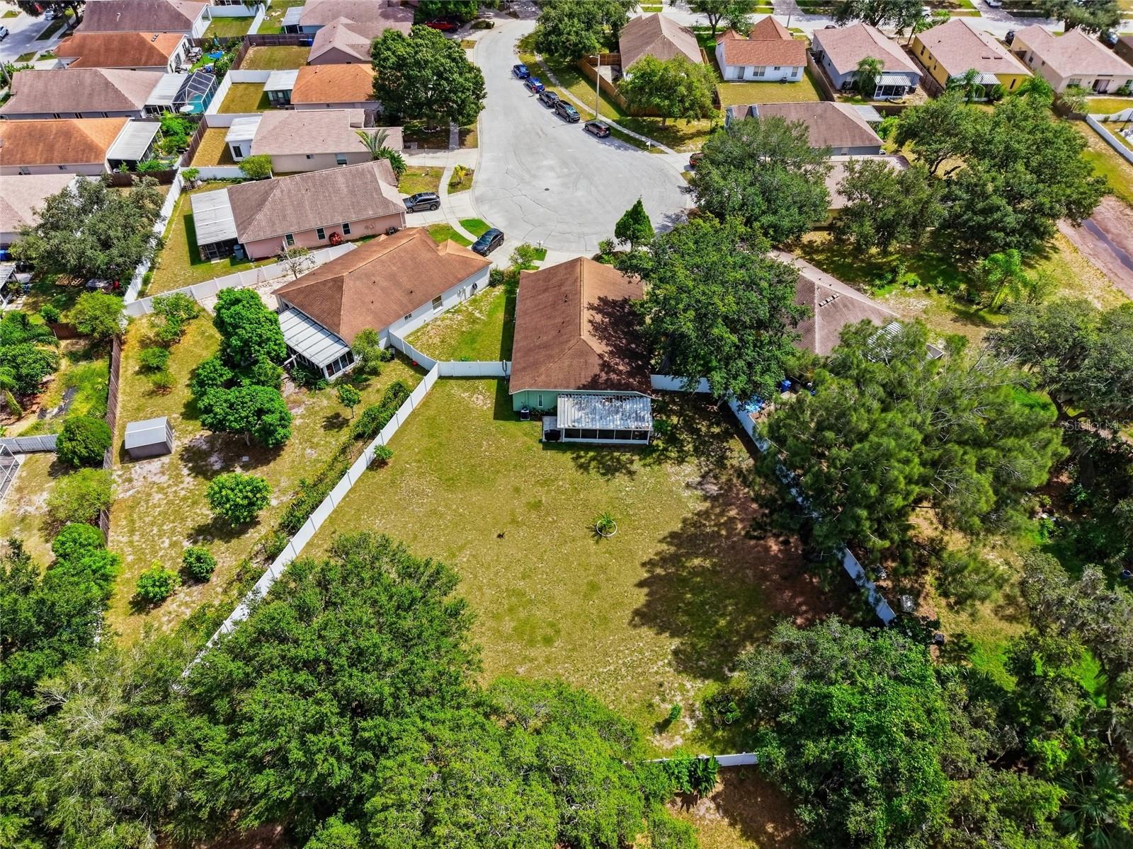 12402 Tree Pointe Ct Property Photo 3