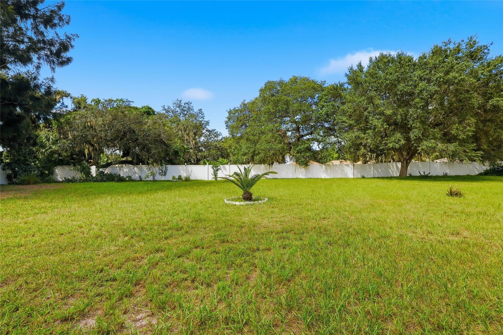 12402 Tree Pointe Ct Property Photo 33