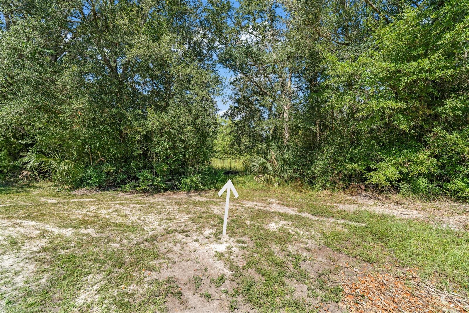 5031 S Louise Pt Property Photo 12