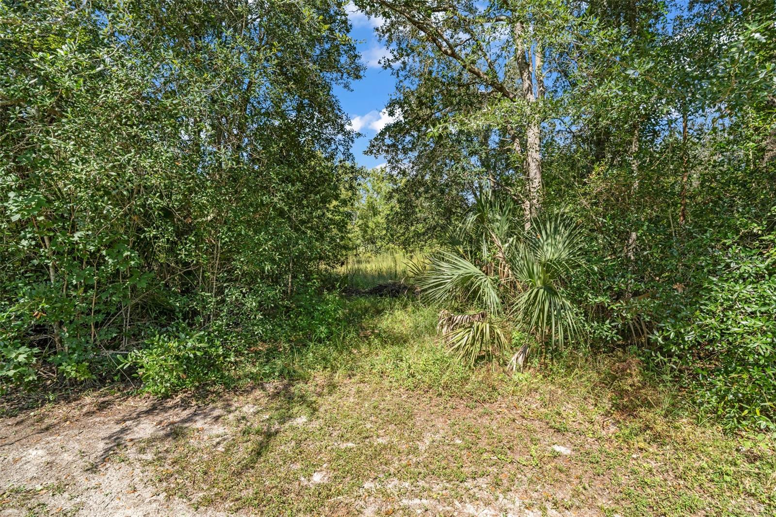 5031 S Louise Pt Property Photo 14