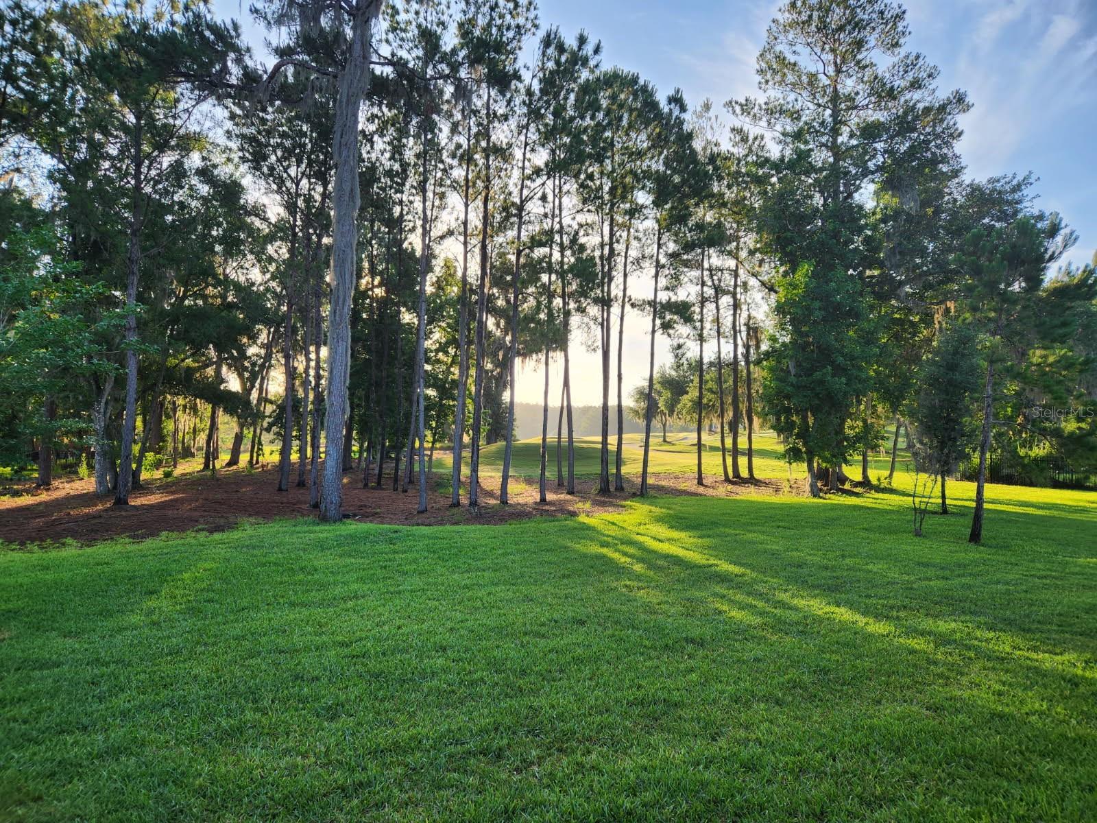 5020 Southern Valley Loop Property Photo 2