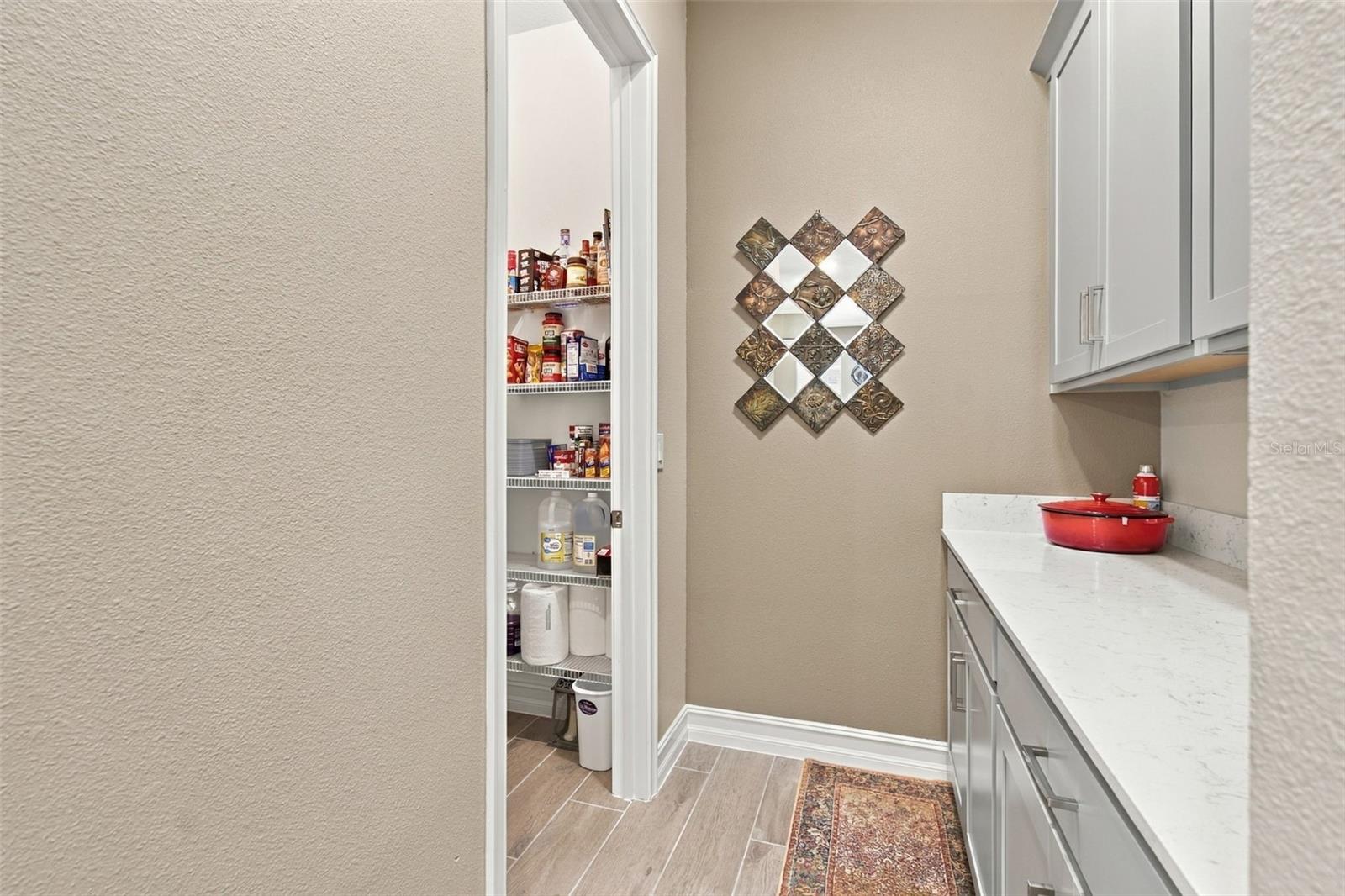 5020 Southern Valley Loop Property Photo 16