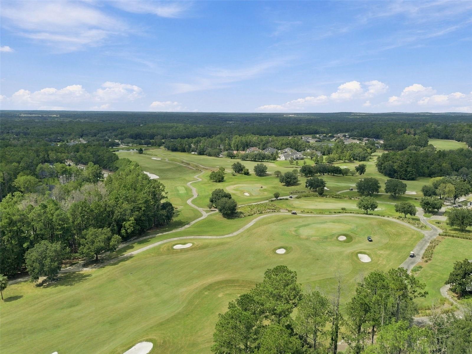 5020 Southern Valley Loop Property Photo 30