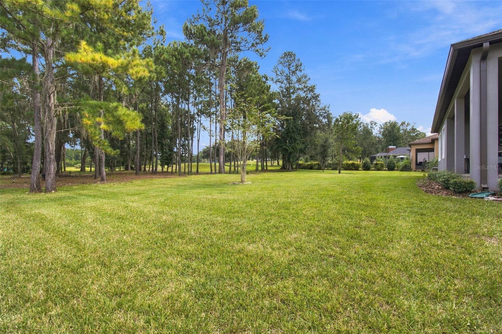 5020 Southern Valley Loop Property Photo 33