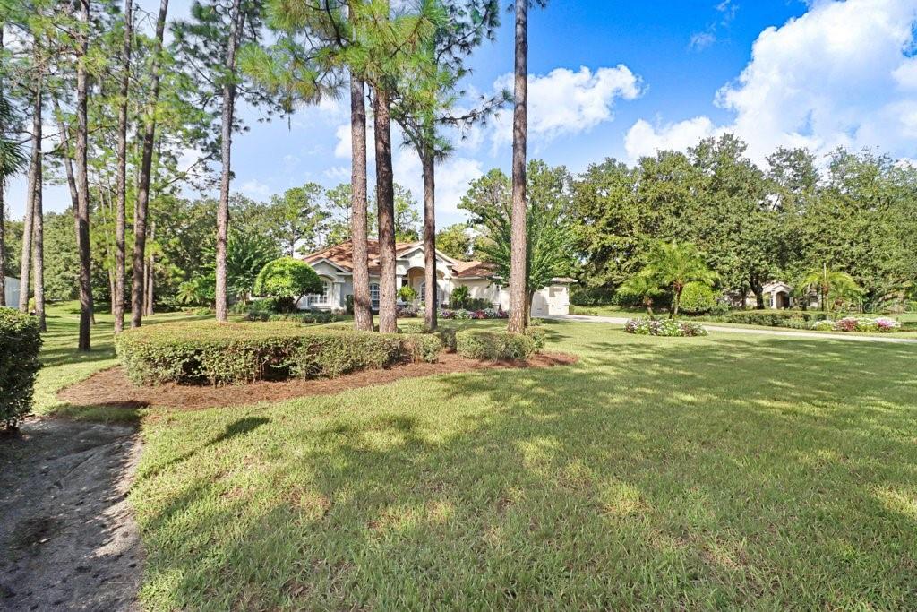 428 Pine Bluff Dr Property Photo 43