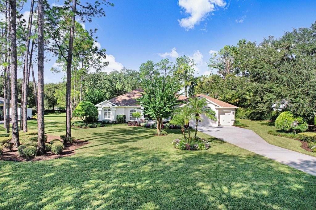 428 Pine Bluff Dr Property Photo 44