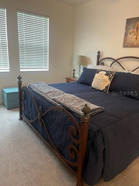 9760 Minnow Ray Dr Property Photo 11