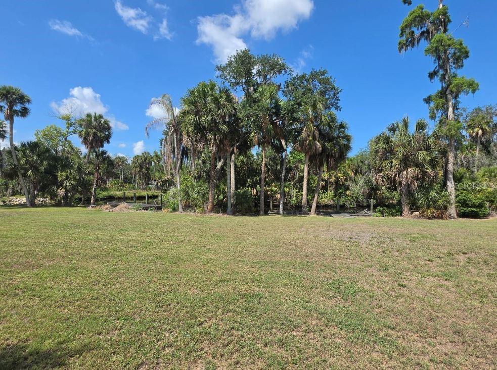 8339 Alafia Pointe Dr Property Photo 22