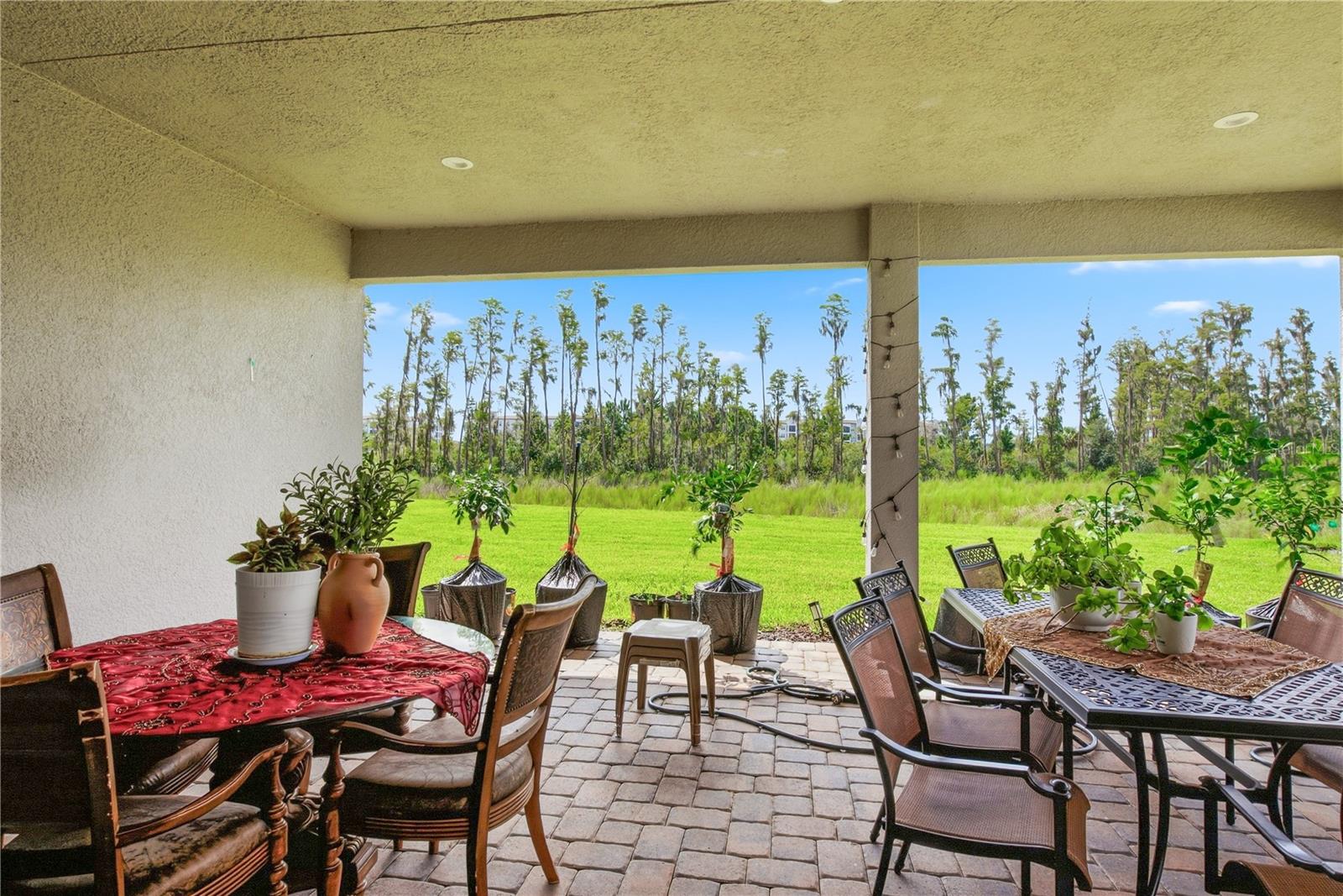 32604 Tree Of Life Ave Property Photo 45