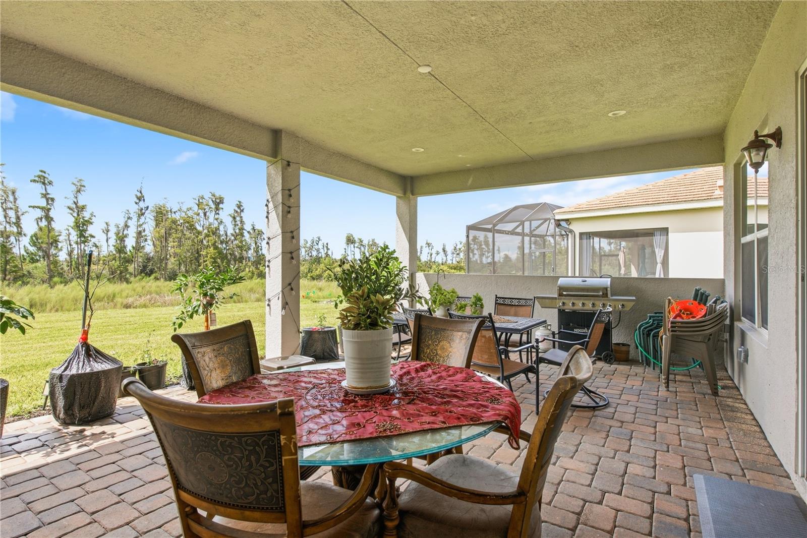 32604 Tree Of Life Ave Property Photo 46