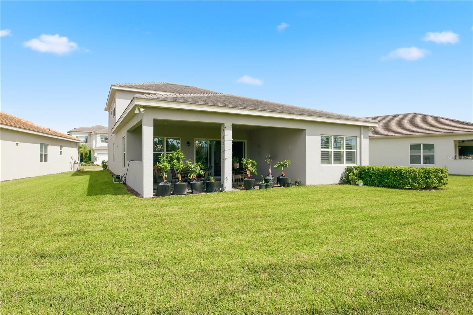 32604 Tree Of Life Ave Property Photo 50