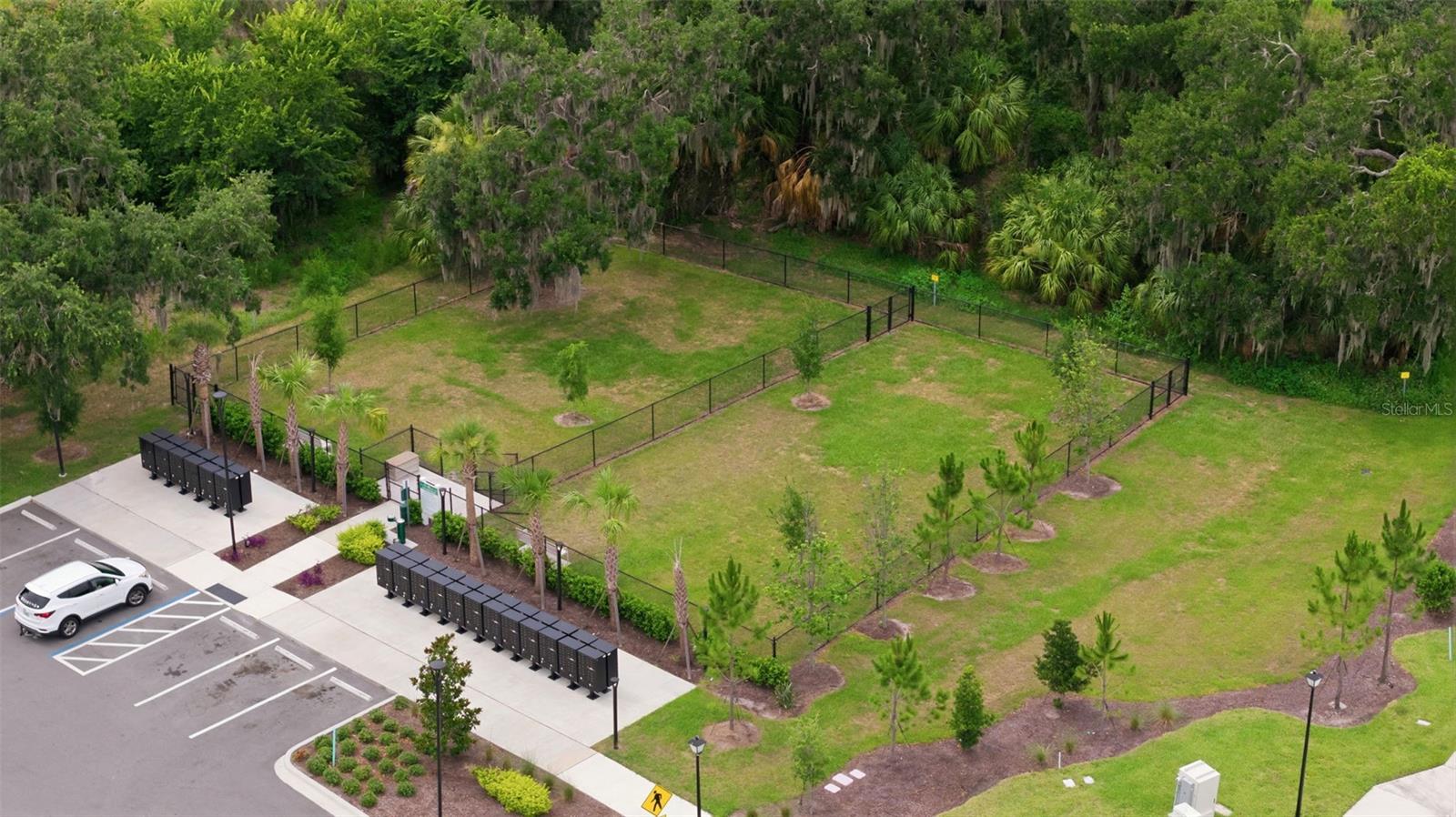 7117 Boggy Creek Pl Property Photo 26