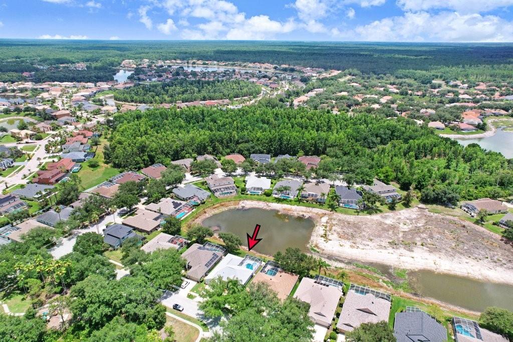 10227 Quails Landing Ave Property Photo 43