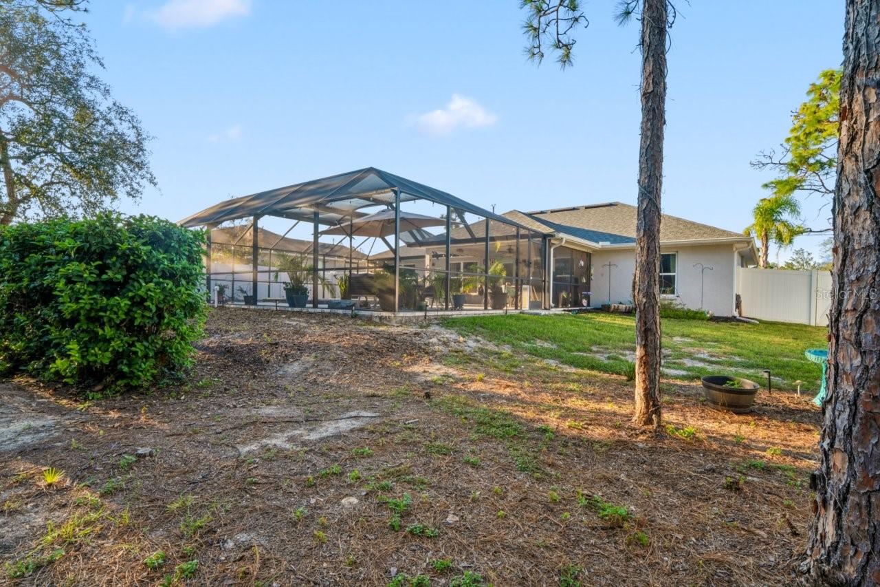 11352 Mississippi Kite Ave Property Photo 51