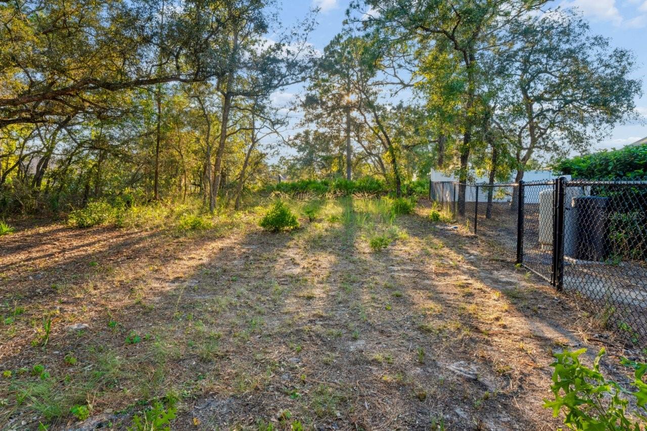 11352 Mississippi Kite Ave Property Photo 52