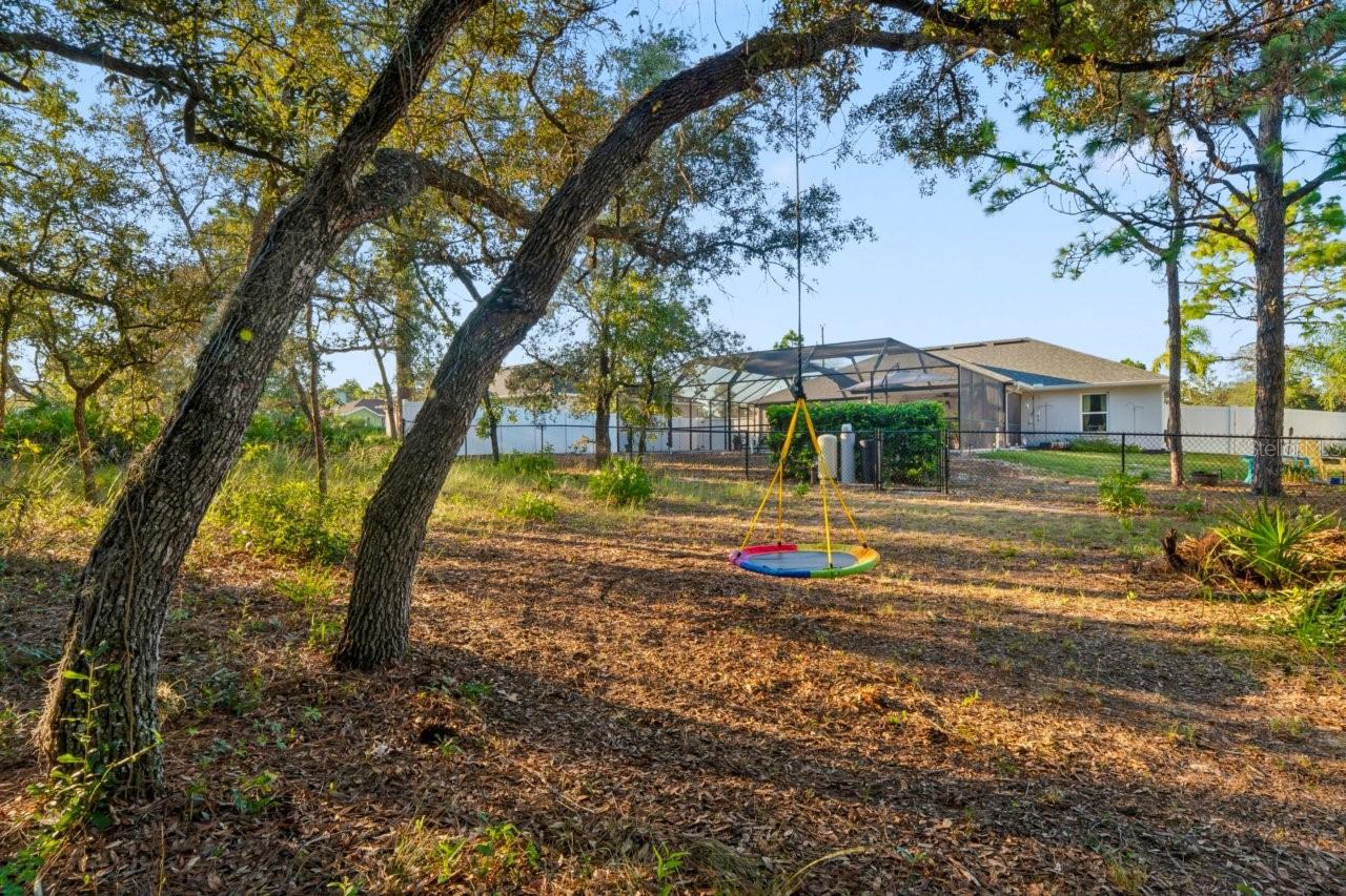 11352 Mississippi Kite Ave Property Photo 55
