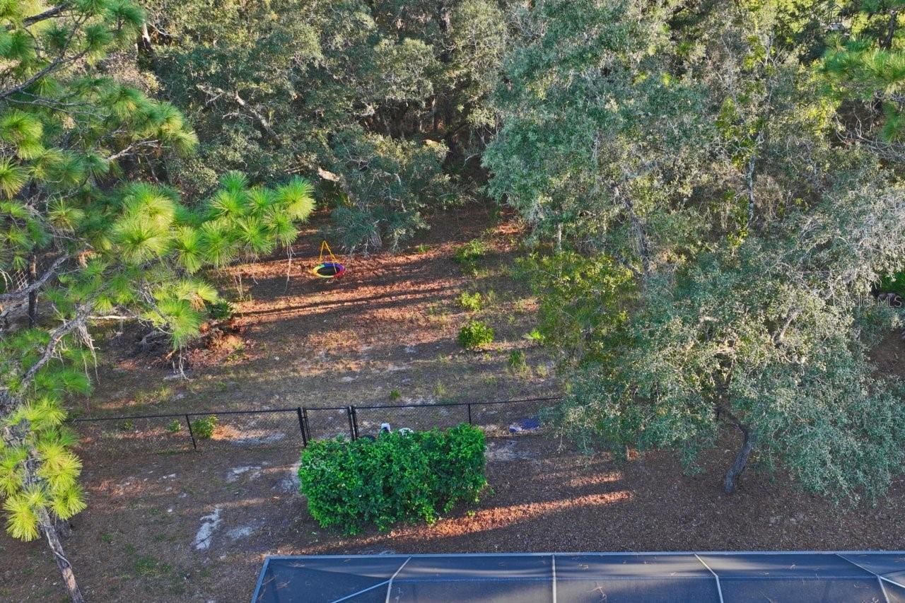 11352 Mississippi Kite Ave Property Photo 59