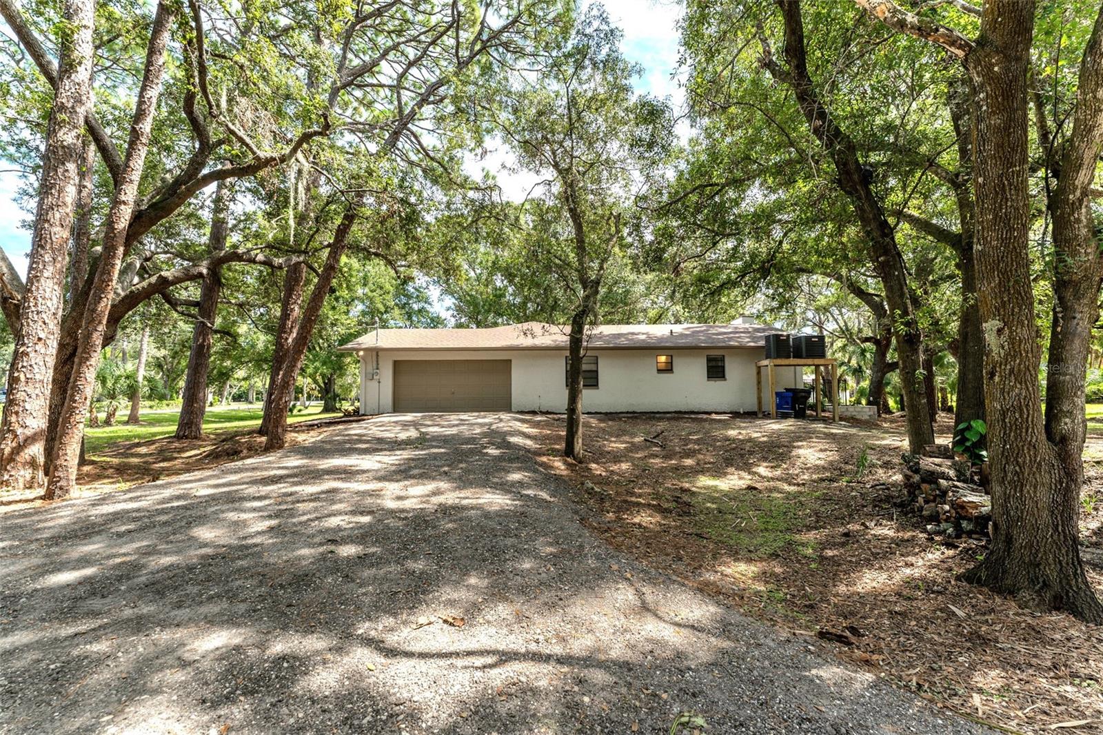 950 Waverly St Property Photo 33