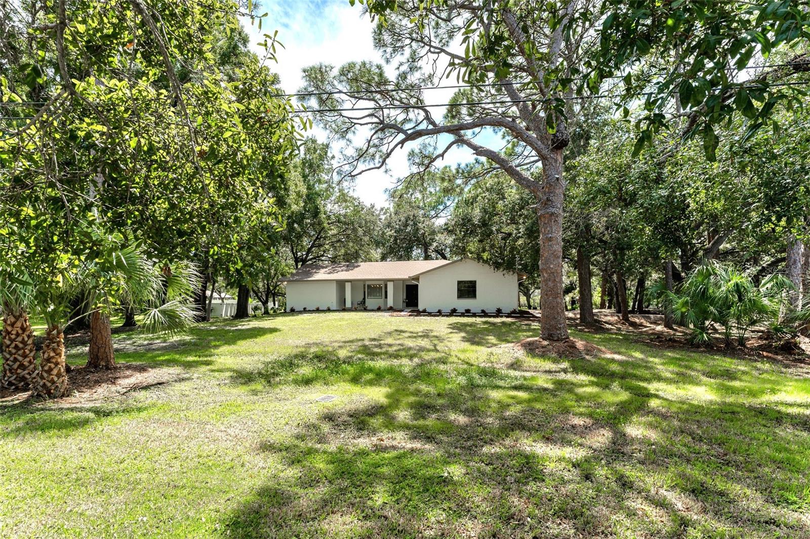950 Waverly St Property Photo 34