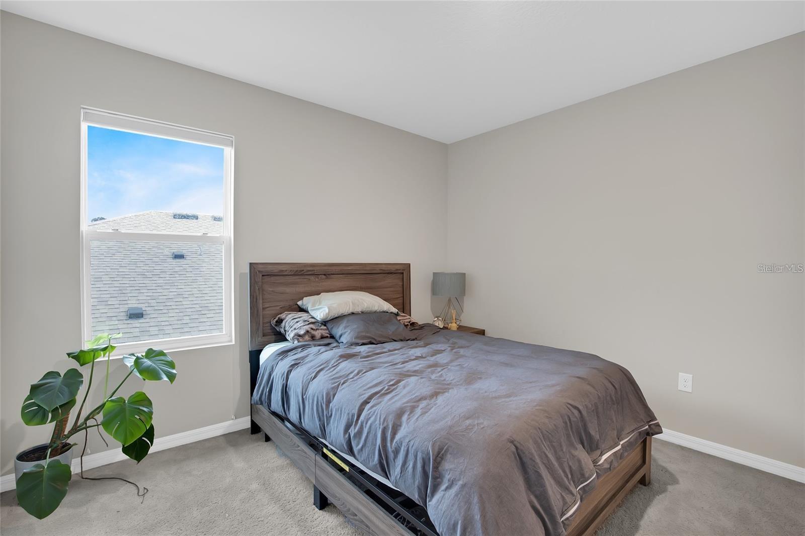 32265 Conchshell Sail St Property Photo 32