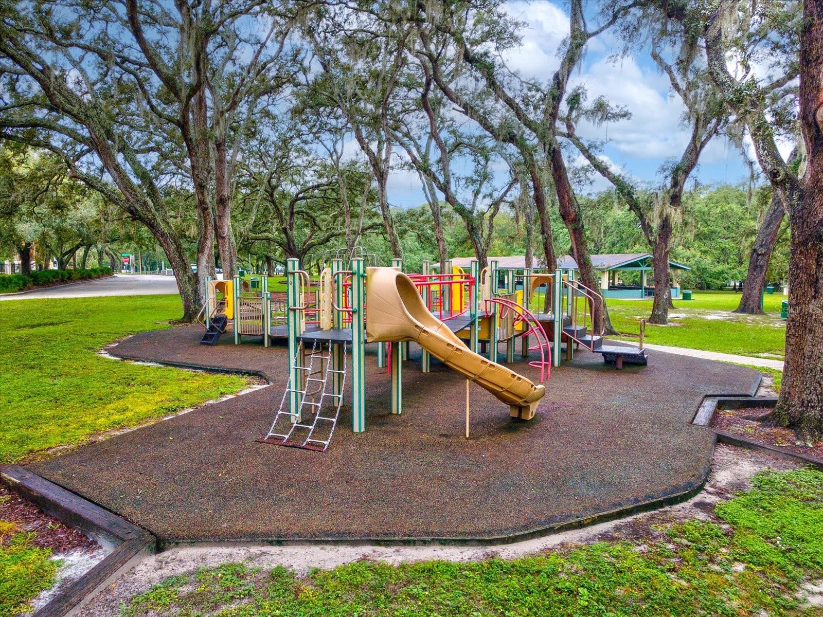 910 E Eskimo Ave Property Photo 48