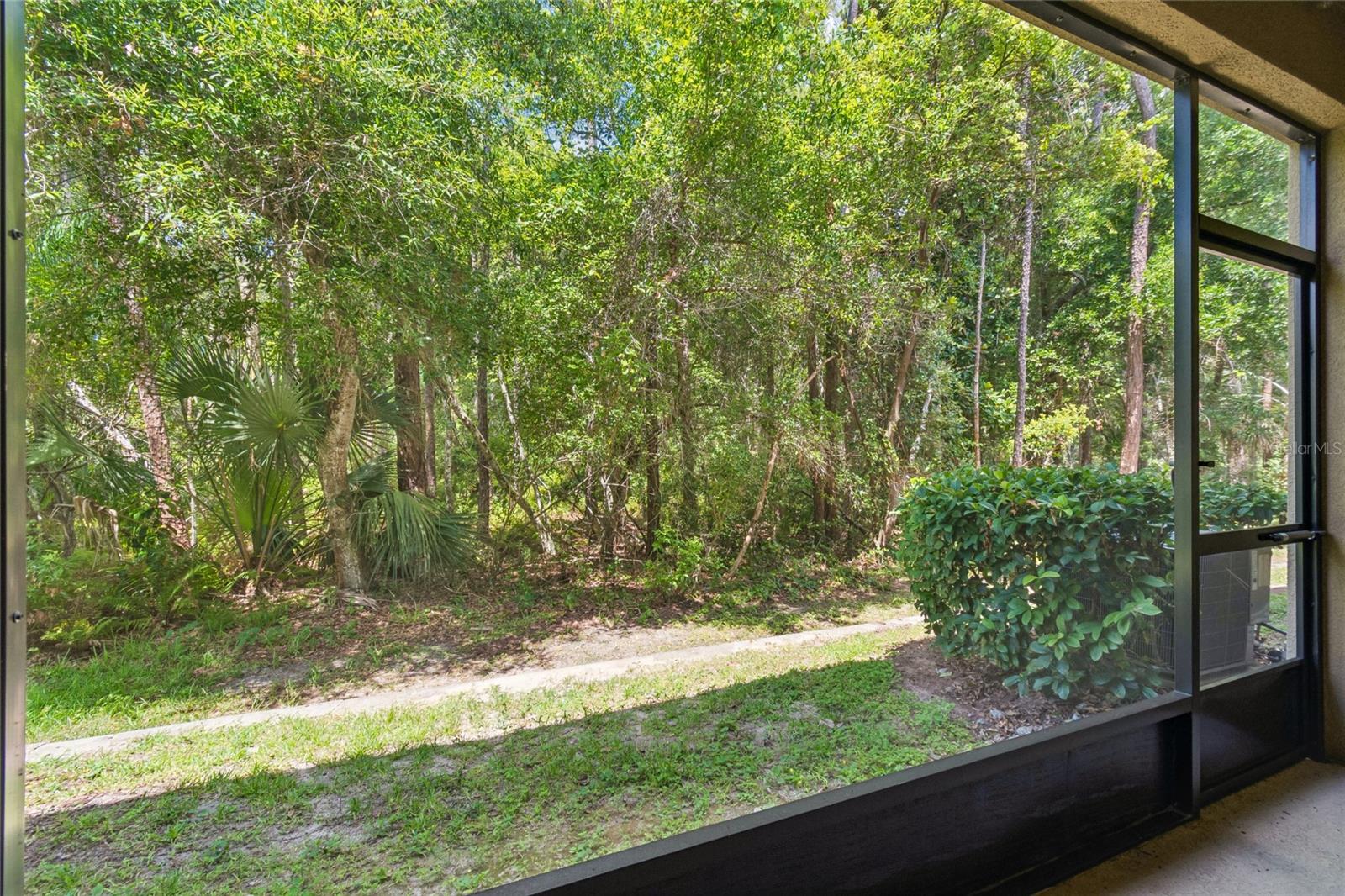 17852 Althea Blue Place Property Photo 42