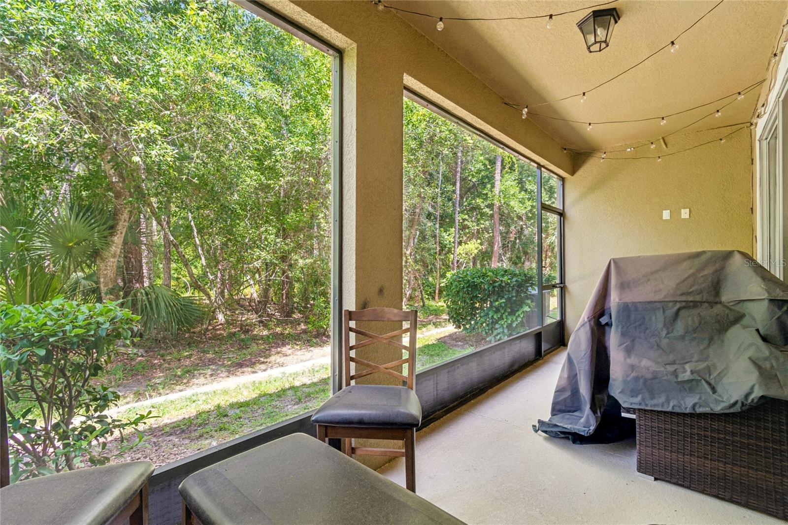 17852 Althea Blue Place Property Photo 43