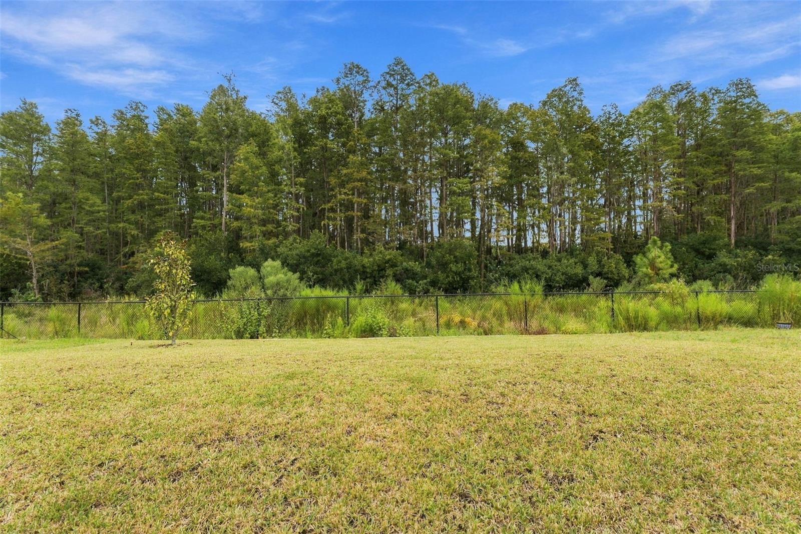 18114 Serene Lake Loop Property Photo 23