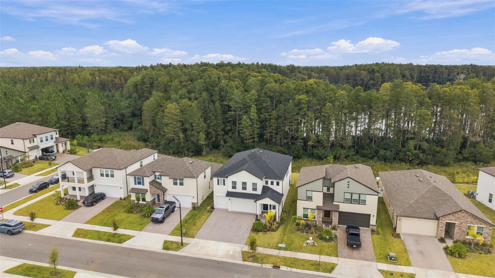 18114 Serene Lake Loop Property Photo 25