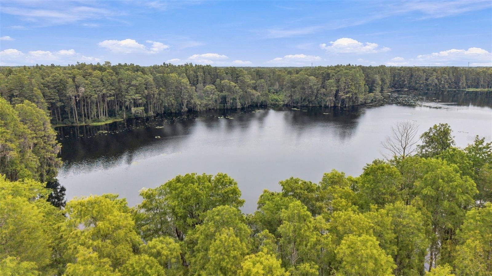 18114 Serene Lake Loop Property Photo 29