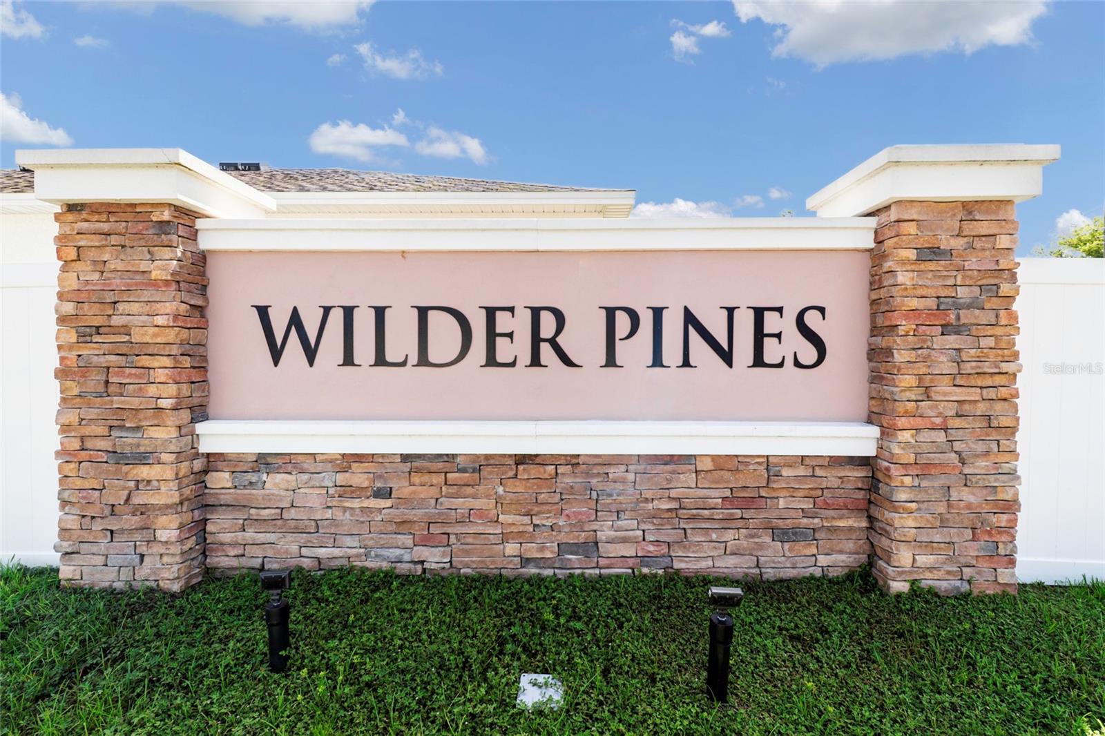 8377 Wilder Pines Ave Property Photo 39